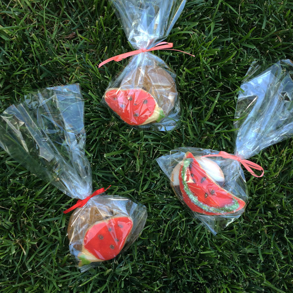 cookie-treat-bags
