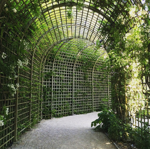 versailles-lattice