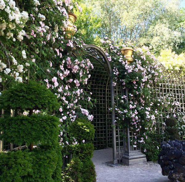 versailles-roses