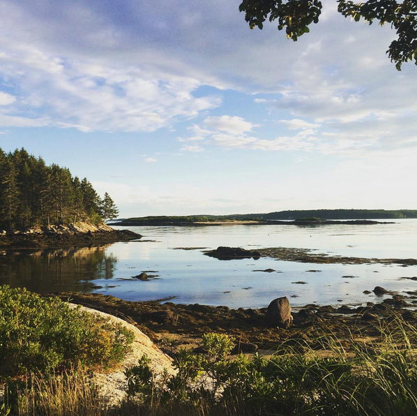 maine-cove