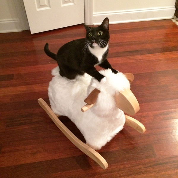 sheep-rocker