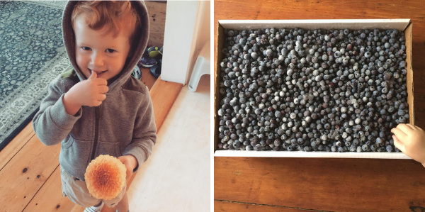 blueberries