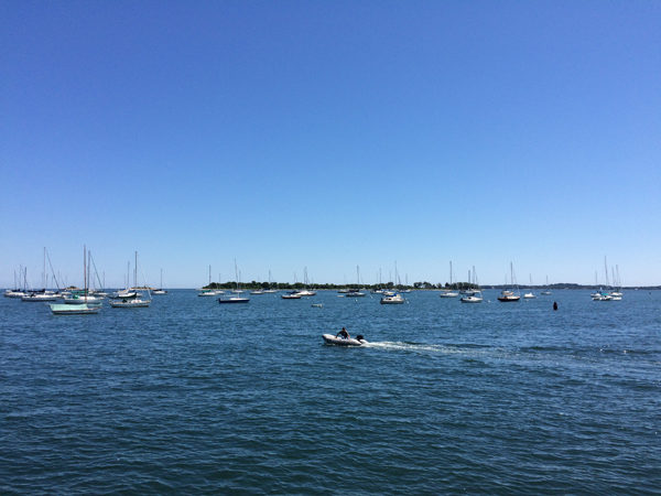 view-from-abbotts