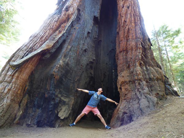 mariposa grove